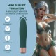 Apresentamos o Mini Vibrador Bullet, um massajador elegante e compacto projetado para estimulação precisa e controle sem esforço. Seu formato fino e suave permite um manuseio confortável e prazer direcionado, tornando-o