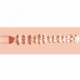Conheça a Coleção XKIN Pin-Up, uma pequena e picante viagem ao passado, relembrando todos os seus devaneios mais ousados. Imagine donas de casa curvilíneas se curvando sobre a tábua de passar roupa, beldades na praia qua