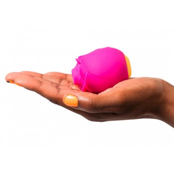 ROMP SUCTION ROSE