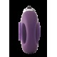 ANEL PENIS FLIRTS PURPLE