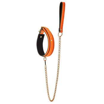 RADIANT COLLAR AND LEASH GLOW IN THE DARK ORANGE