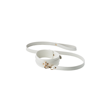 BLAZE ELITE COLLAR AND LEASH WHITE