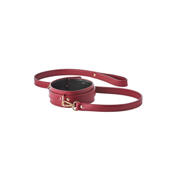 BLAZE ELITE COLLAR AND LEASH RED