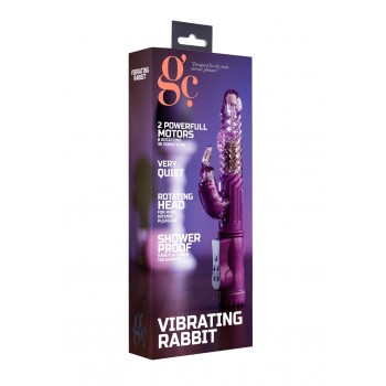 Vibrating Rabbit - Purple