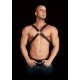 Arnês de Torso Bondage Adonis Pele Preto Adicione ainda mais intensidade às suas aventuras sexuais e permita-se desfrutar do melhor da vida!Arnês masculino fetichista todo em pele decorado com anéis de metal. Com detalhes apaixonantes e super confortável de se