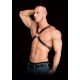 Arnês de Torso Bondage Adonis Pele Preto Adicione ainda mais intensidade às suas aventuras sexuais e permita-se desfrutar do melhor da vida!Arnês masculino fetichista todo em pele decorado com anéis de metal. Com detalhes apaixonantes e super confortável de se
