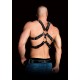Arnês de Torso Bondage Andreas Pele Preto Adicione ainda mais intensidade às suas aventuras sexuais e permita-se desfrutar do melhor da vida!Arnês masculino fetichista todo em pele decorado com anéis de metal. Com detalhes apaixonantes e super confortável de se
