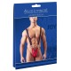 Microfibre mini body with two colours on it. It has snap hook fasteners. Black/red. 92% polyester, 5% elastane. Insert 95% polyester, 5% elastane.