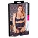 Curvas femininas apresentadas de maneira muito erótica! Conjunto de suspensórios de 3 peças que consiste em um sutiã de prateleira levemente acolchoado com rendas delicadas nas xícaras, um cinto de suspensórios com laço